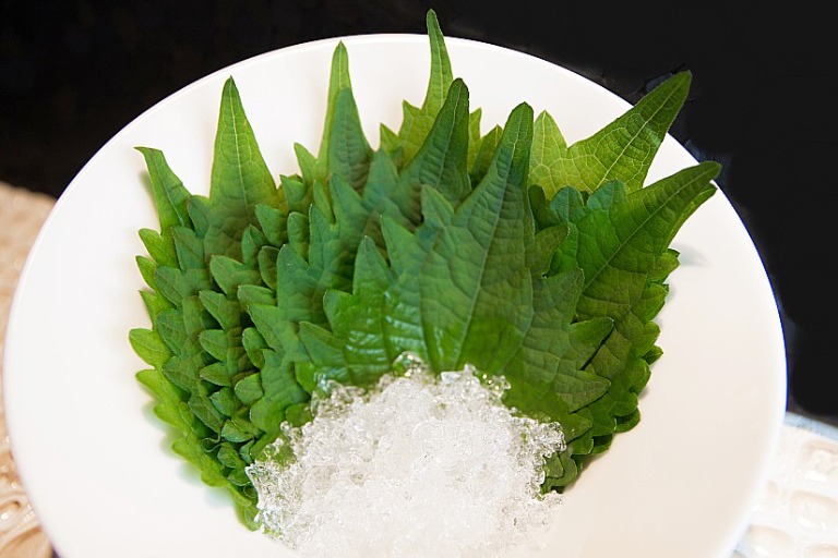 Japanese Shiso Leaf